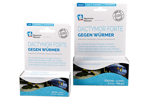Aquarium Münster Dactymor Forte 1000 ml