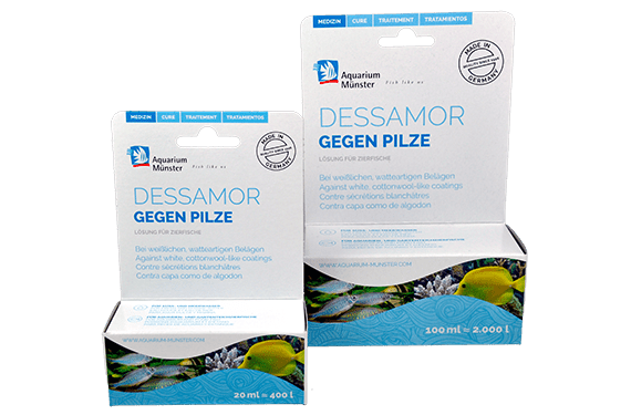 Aquarium Münster Dessamor 1000 ml