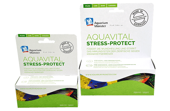 Aquarium Münster Aquavital Stress-Protect 250 ml