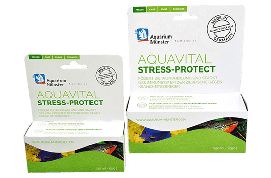 Aquarium Münster Aquavital Stress-Protect 100 ml